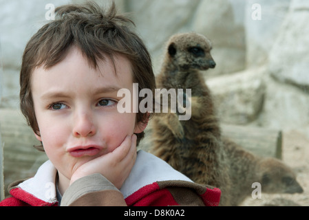 Garçon en face de meerkat pièce au zoo Banque D'Images