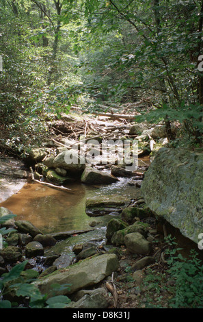 Un ruisseau de montagne peu profond serpente à travers un paysage rocheux, ses eaux claires coulant doucement sur des pierres lisses. La scène capture la beauté naturelle et la sérénité d'une région montagneuse, offrant une atmosphère paisible et apaisante. Banque D'Images