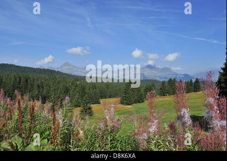 Massif des Aravis Banque D'Images