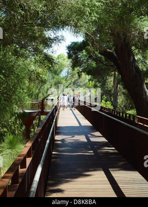 Cette image montre une passerelle suspendue, souvent utilisée en forêt ou dans des réserves naturelles pour permettre aux visiteurs de marcher au-dessus du sol sans perturber l’écosystème environnant. Ces allées offrent une perspective unique de la canopée ou du paysage forestier. Banque D'Images