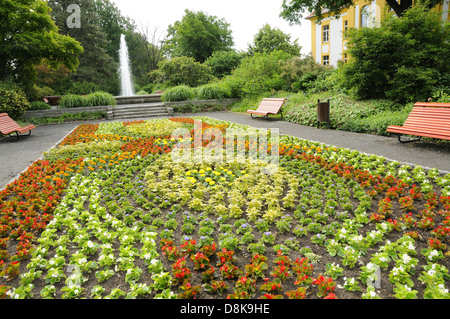 Dans le parc Banque D'Images