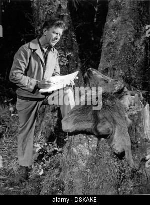 Vintage photo homme esquissant les éléments anatomiques d'un spécimen de wapiti. Banque D'Images