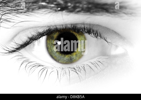 Close up of a mans yeux Banque D'Images