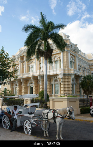 Promenades en calèche ou en face de la Calesa Palacio Canton sur le Paseo de Montejo de Mérida, Yucatán, Mexique Banque D'Images