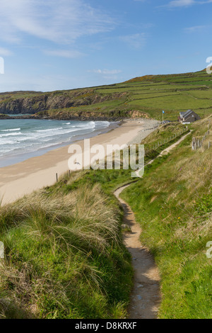 Wales Coast Path Whitesands Bay UK Pembrokeshire Banque D'Images