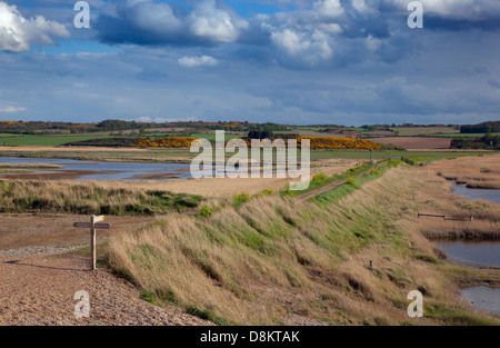 Parc naturel de CLEY Marshes sur la côte nord de Norfolk Banque D'Images