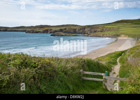 Wales Coast Path Whitesands Bay UK Pembrokeshire Banque D'Images