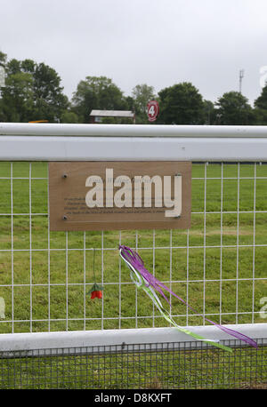 Epsom Downs, England, UK. Le 31 mai 2013. Une plaque commémorant le sacrifice d'Emily Wilding Davison qui se jeta en avant du chalet d'Epsom, les rois cheval il y a 100 ans, généralement reconnu comme le plus grand sacrifice d'une suffragette sur Investec Mesdames Jour de l'hippodrome d'Epsom. Credit : Action Plus Sport Images/Alamy Live News Banque D'Images