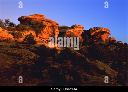 La dernière lumière du soleil directe du jour hurle de couleurs éclatantes sur le capstone rochers de Canyonlands National Park dans l'Utah, USA. Banque D'Images