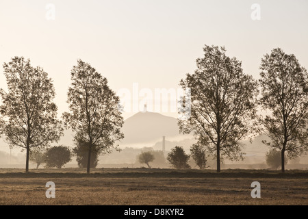 Misty matin de printemps sur les niveaux de Somerset, regard vers Glastonbury Tor Banque D'Images