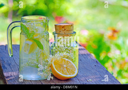 De sureau et le jus de citron au jardin Banque D'Images