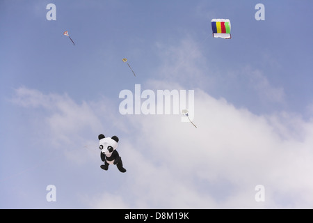 Divers cerfs-volants sur une plage de la mer Banque D'Images