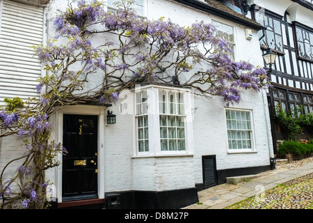 Wisteria saneness croissant le long de l'avant d'une maison dans la rue Mermaid à Rye dans l'est du Sussex au Royaume-Uni. Banque D'Images