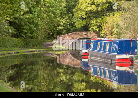 Narrowboats amarré sur les états-majors & Worcester, Canal de Jonction Storton, Staffordshire, England, UK Banque D'Images