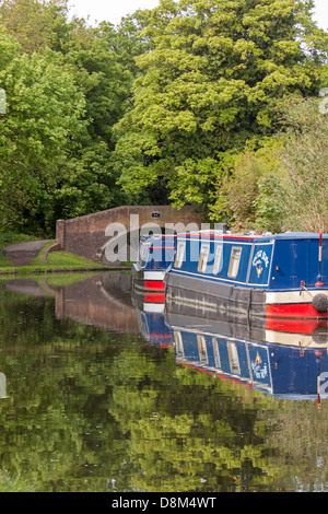 Narrowboats amarré sur les états-majors & Worcester, Canal de Jonction Storton, Staffordshire, England, UK Banque D'Images