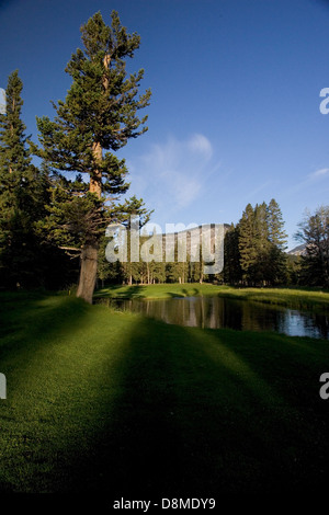 Rocky Mountain Golf Banque D'Images