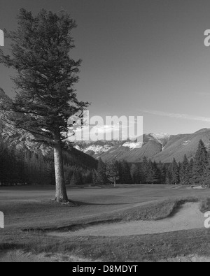 Fairmont Banff Springs Golf Club 14 trous Banque D'Images