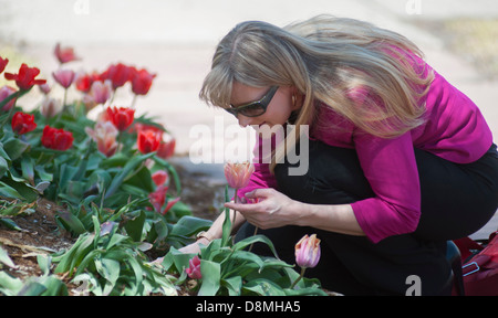 Woman smelling une fleur. Banque D'Images