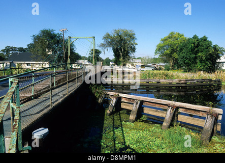 La Louisiane, Elk283-4586 Pays Cajun, Big Bayou Black, bridge Banque D'Images