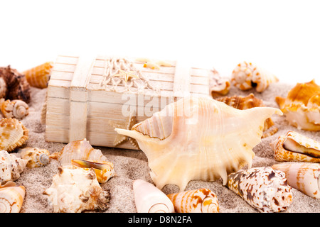 Arrière-plan avec les coquillages et Treasure Chest with copy space Banque D'Images