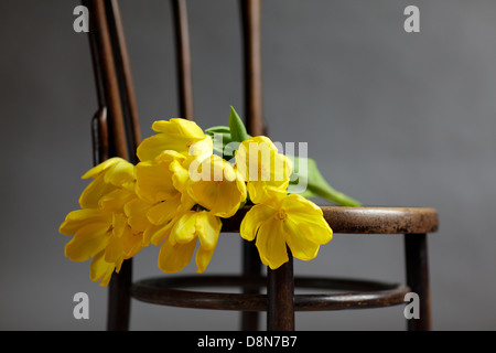 Nature morte avec tulipes jaune Banque D'Images