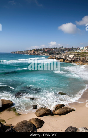 Une vue sur les falaises dans la banlieue est de Sydney, en Australie Banque D'Images