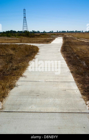 Un sentier naturel serpente à travers la nature, avec de hautes herbes bordant les deux côtés. Cette image montre un chemin paisible à travers le terrain naturel, offrant un aperçu dans le paysage intact. Banque D'Images
