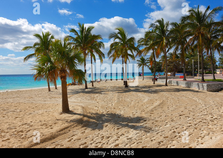 Radisson Grand Lucayan Resort. Port Lucaya Freeport - Bahamas. Banque D'Images