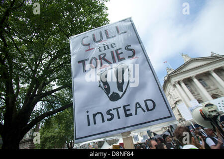 London UK. 1er juin 2013. Les manifestants et les militants du bien-être des animaux à l'extérieur de l'assemblage de Tate Gallery de mars à Westminster contre plans controversés par le gouvernement d'introduire l'abattage blaireau visant à lutter contre la tuberculose chez les bovins Crédit : amer ghazzal/Alamy Live News Banque D'Images