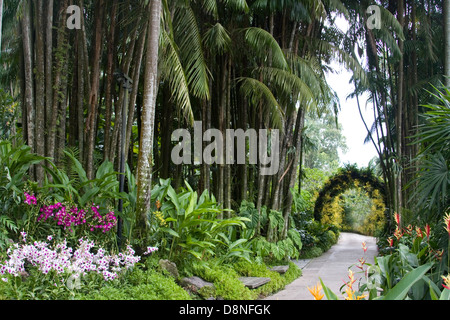 Chemin par la National Orchid Garden, à Singapour. Banque D'Images