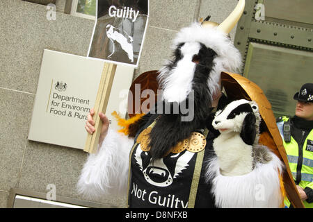 Londres, Royaume-Uni. 1er juin 2013. Un blaireau mascot vu l'extérieur de la DEFRA bureaux. Crédit David Mbiyu/Alamy Live News Banque D'Images