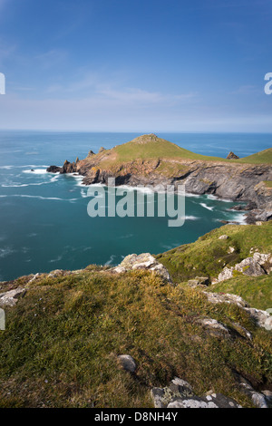 La tête de Pentire croupions Cornwall Uk Banque D'Images