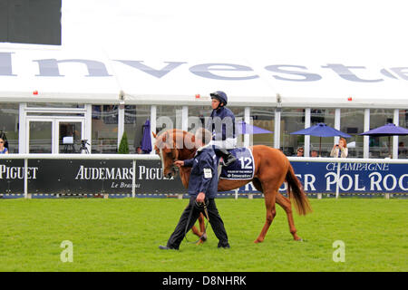 Epsom Downs Surrey UK. 1er juin 2013. Derby Day 2013 à Epsom, parrainé par Investec. Les plus riches du Royaume-Uni course de chevaux, et le plus prestigieux du pays de cinq classiques. La distance de course de Derby est 1m 4f 10y (2 423 m), c'est un ouvert à trois ans poulains et pouliches pur-sang. Cette année, remporté par aucune règle 12 du monde formés par Aidan O'Brien, monté par Ryan Moore vu ici avant la course. Credit : Jubilé Images/Alamy Live News Banque D'Images