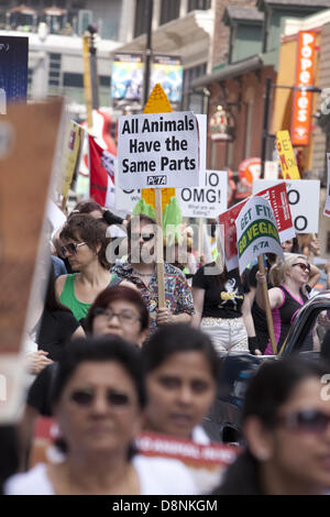 Toronto, Canada. 1er juin 2013. Les défenseurs des droits des animaux participant au défilé de la Veggie Pride 1 juin 2013 à Toronto, Canada. Banque D'Images