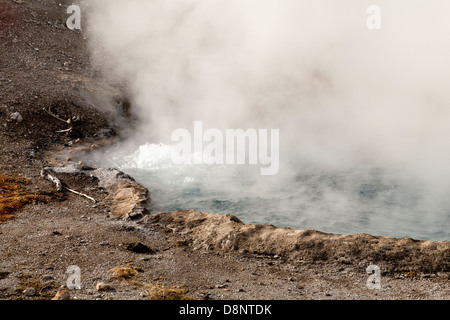 Beryl Printemps, d'hiver, Yellowstone NP, WY Banque D'Images