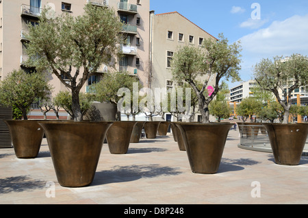 Les semoirs géant ou les pots de fleurs et d'oliviers près de l'hôtel de ville Marseille France Banque D'Images