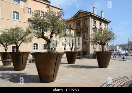 Planteurs De Poterie Géante Avec Oliviers Sur La Place Du Vieux-Port Et L'Hôtel De Ville Marseille Provence France Banque D'Images