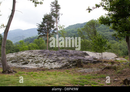 Le Parc National de Naquane de gravures rupestres dans la région de Capo di Ponte de l'Italie. Site de l'UNESCO du patrimoine mondial n. 94 Banque D'Images