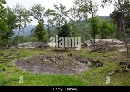 Le Parc National de Naquane de gravures rupestres dans la région de Capo di Ponte de l'Italie. Site de l'UNESCO du patrimoine mondial n. 94 Banque D'Images