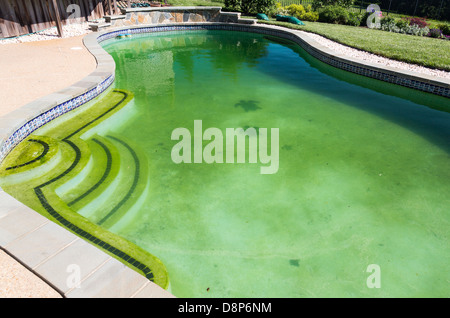 Back Yard Sale Accueil piscine avec une algue verte remplie de l'eau stagnante avant nettoyage Banque D'Images