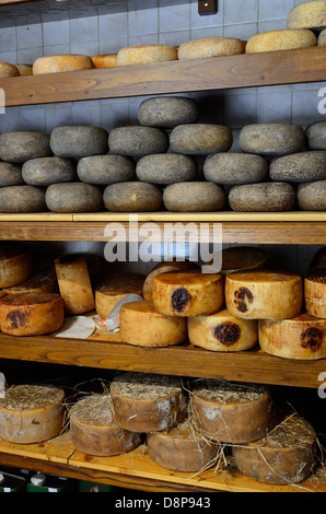 Fromage sur l'affichage à un magasin à Pienza, Italie. Banque D'Images
