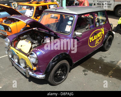 Brighton, UK. 2 juin 2013. Des centaines de mini-voitures, anciens et nouveaux, arriver sur le front de mer de Brighton. De partir de Crystal Palace Park, Londres, 2100 Les minis, anciens et nouveaux, promenade sur l'A23 avant de monter à l'arrivée de front de Madeira Park, Brighton, dans le cadre du rapport annuel de Londres à Brighton Mini run. Credit : Graham Hush/Alamy Live News Banque D'Images