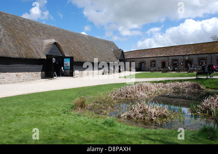 Menhirs néolithiques Avebury Wiltshire, Angleterre Musée Banque D'Images