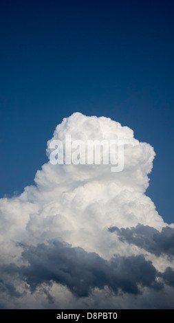Dans Cumonimbus la formation des nuages sur l'ouest du Texas, près de Marathon, dans la pointe nord du désert de Chihuahuan. Banque D'Images