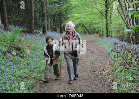 Grand-mère et petit-fils marche à travers un bois bluebell dans Faceby dans le North York Moors Banque D'Images