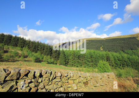 Mur en pierre sèche dans la région de Dale Moffat, Dumfries et Galloway, Écosse, Royaume-Uni Banque D'Images