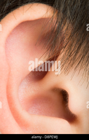 L'oreille humaine close up studio shot Banque D'Images