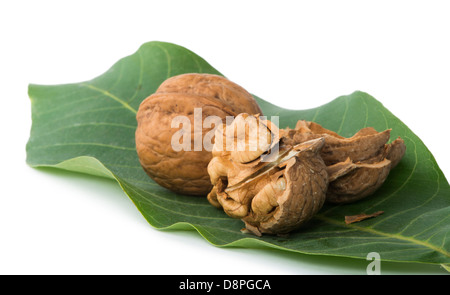 Les noix et de la direction générale avec des feuilles blanc isolé. Les coquilles brisées. Studio shot Banque D'Images