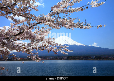 Le Mont Fuji et le lac Kawaguchi, préfecture de Yamanashi Banque D'Images