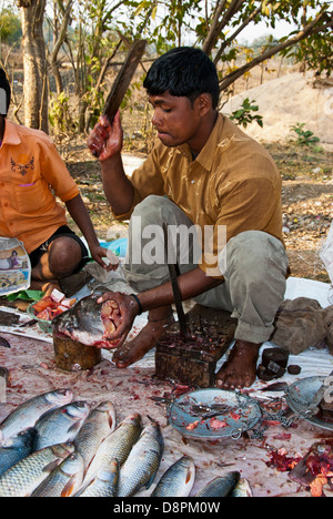 La préparation d'un Indien des poissons dans un marché aux poissons en plein air dans le village de Moka, Madya Pradesh, Inde Banque D'Images